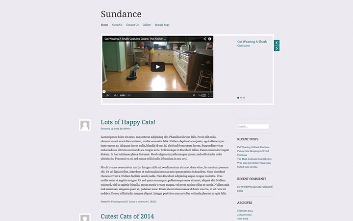 WordPress Video Theme No.4- Sundance