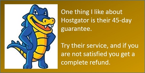 Hostgator: An Easy and Affordable Way to Host your Site