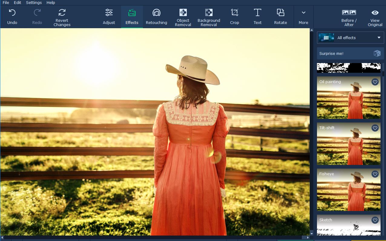 Movavi Photo Editor for Mac Review