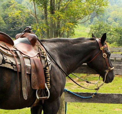 Factors to Consider when Choosing Stirrups