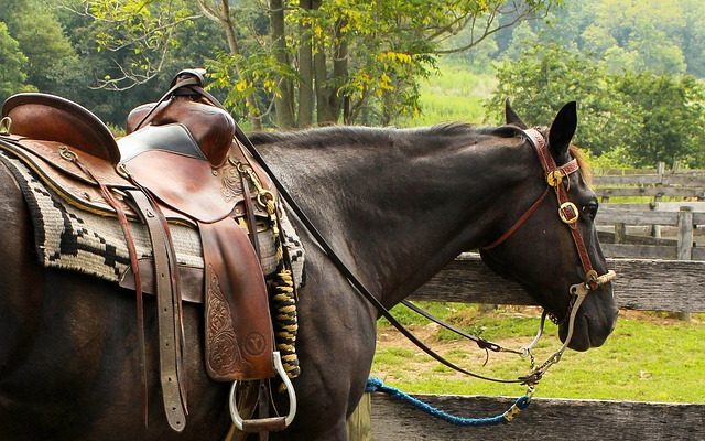 Factors to Consider when Choosing Stirrups