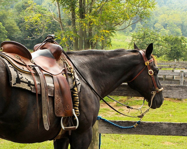 Factors to Consider when Choosing Stirrups