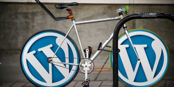 What you need to know about WordPress Maintenance Services