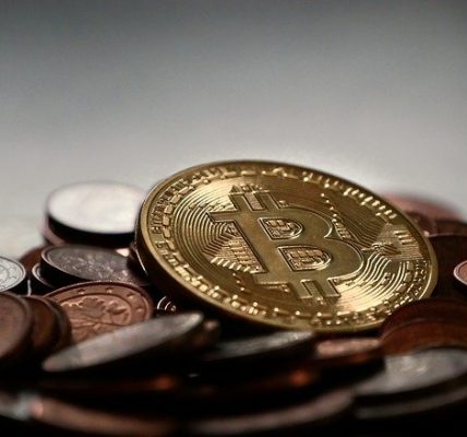 Bitcoin Pro Profitability and Advantages