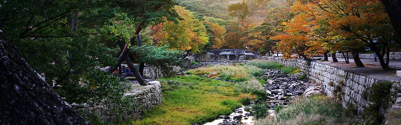 The Top Things to Do in South Korea