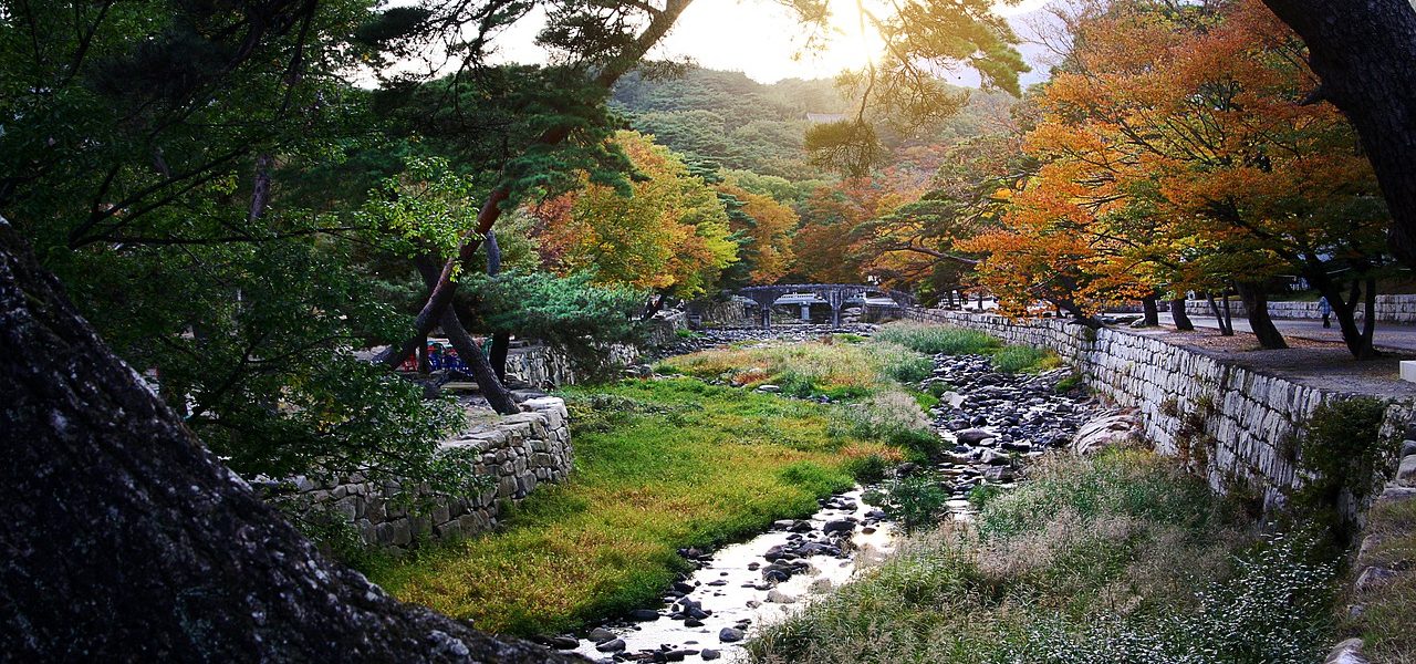 The Top Things to Do in South Korea