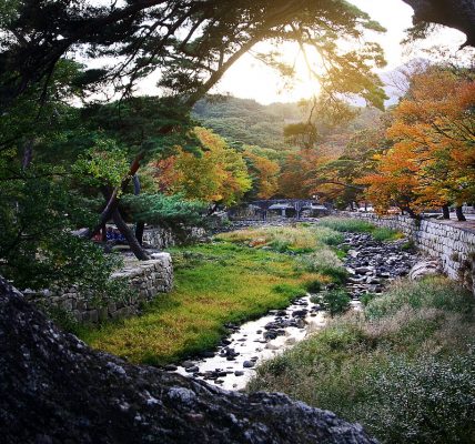 The Top Things to Do in South Korea