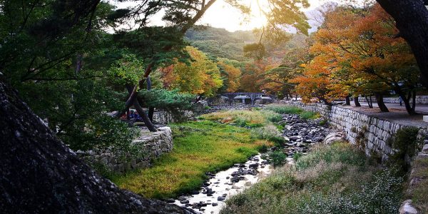 The Top Things to Do in South Korea